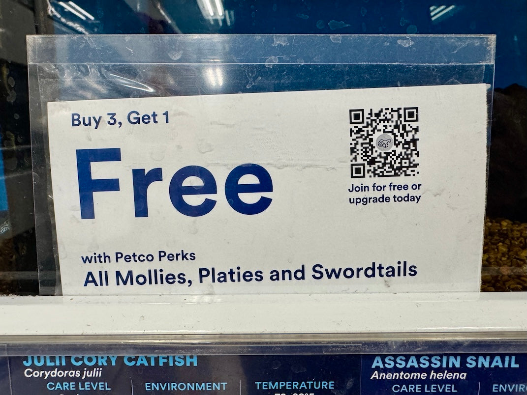 Buy 3 Get 1 Free Fish Label