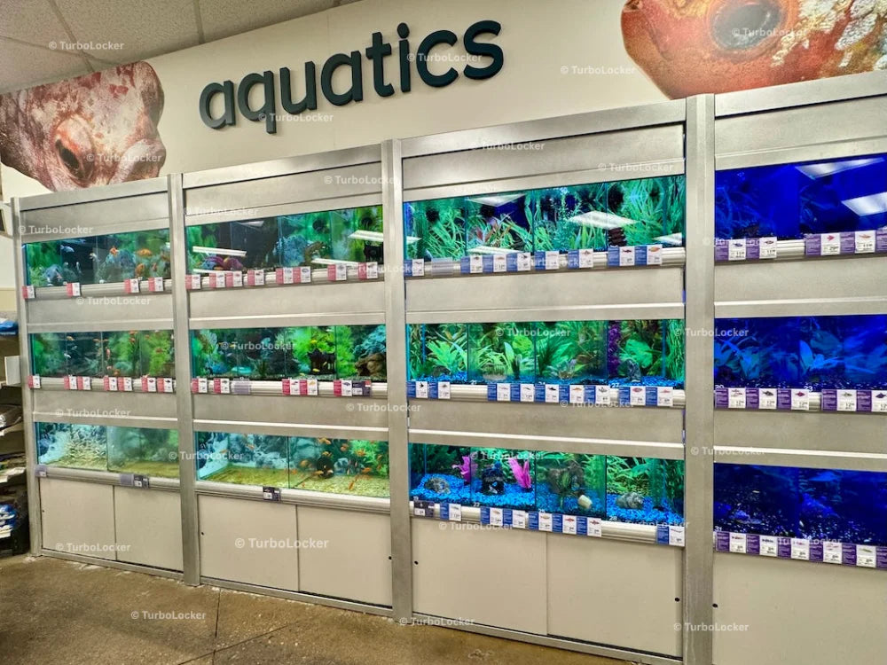 Aquatics Area