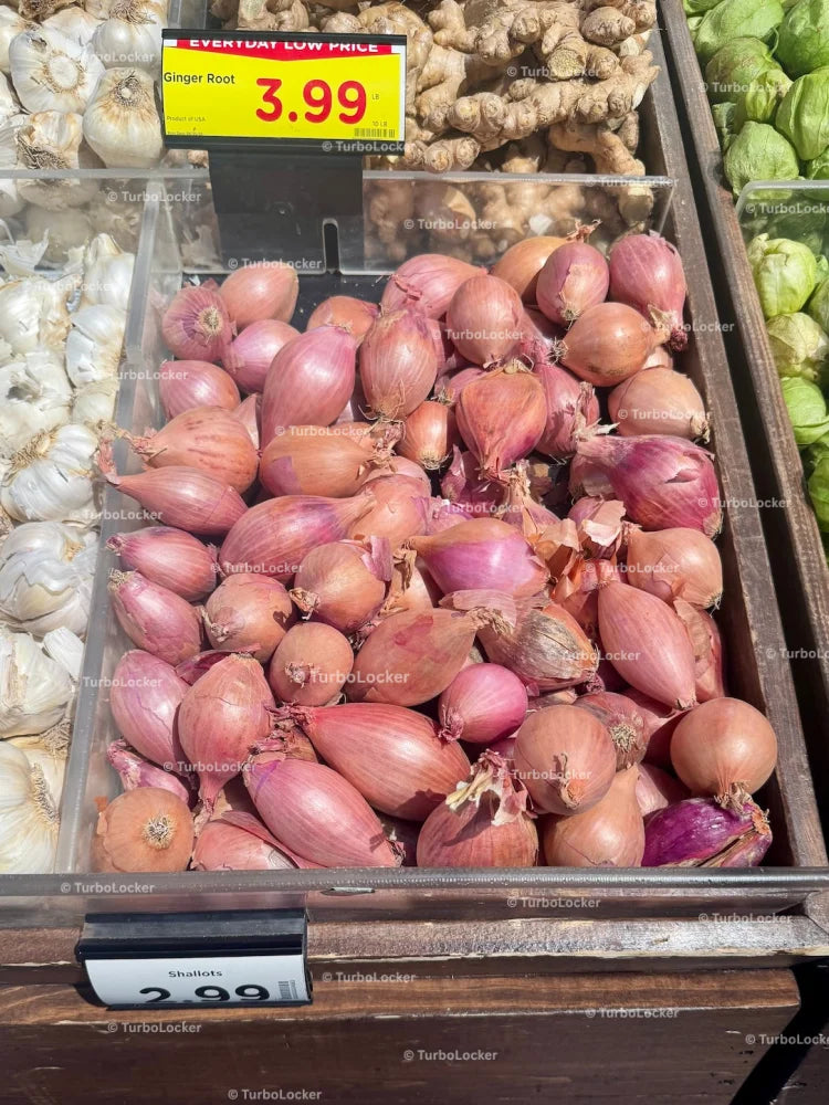 Bin Full Of Shallots In A Grocery Produce Department