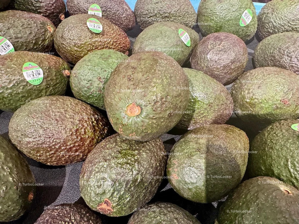 Bulk Avocados On A Tray