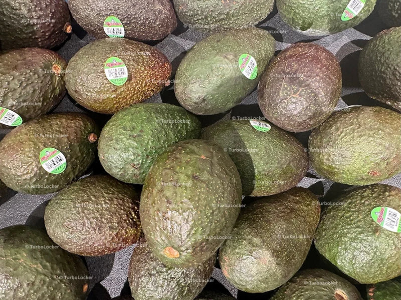 Bulk Avocados On A Tray