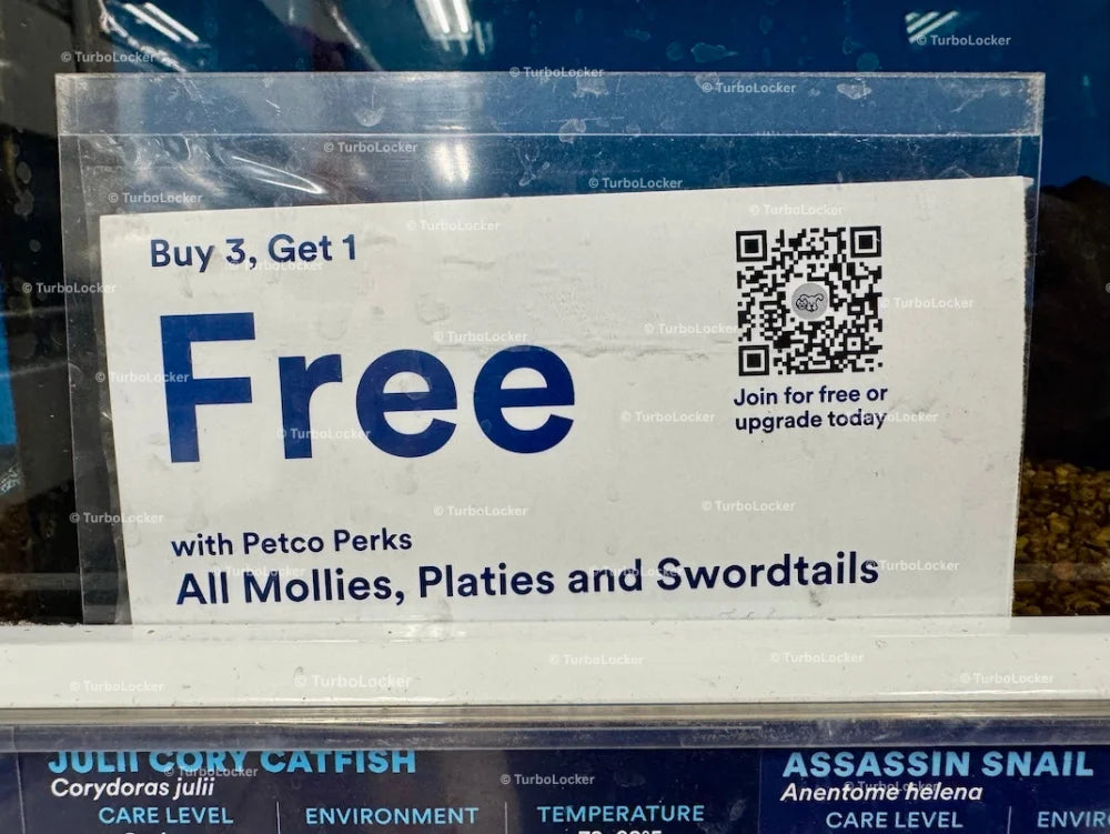Buy 3 Get 1 Free Fish Label