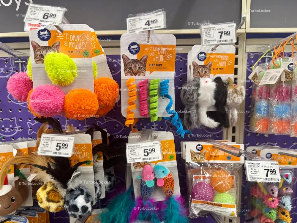 Cat Toys