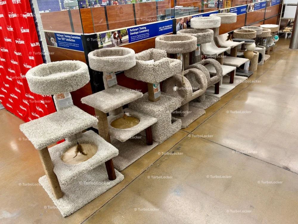Cat Trees And Cat Furniture