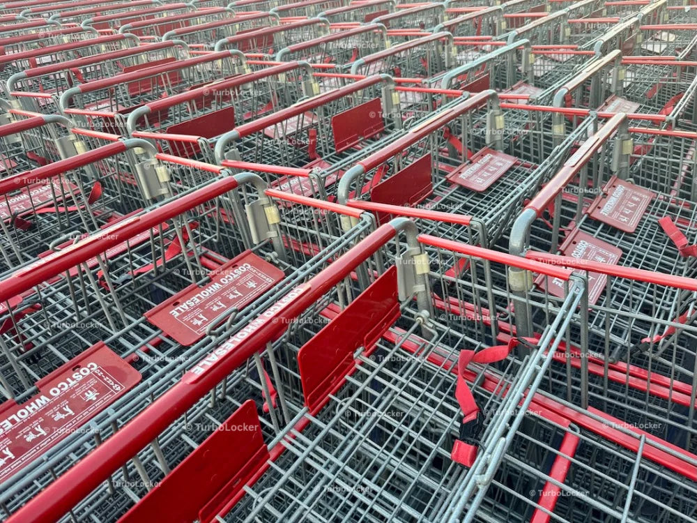 Costco Shopping Carts