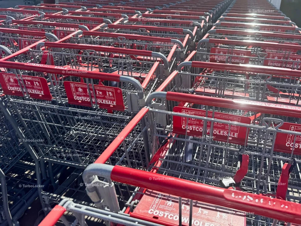 Costco Shopping Carts Lined Up