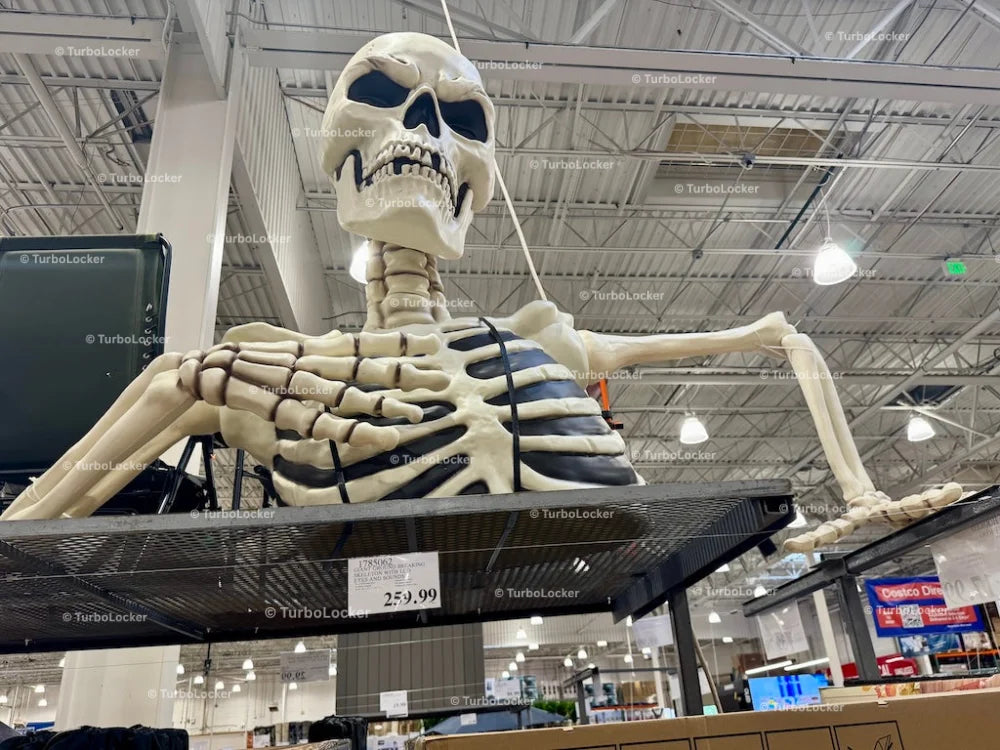 Extra Large Skeleton Model