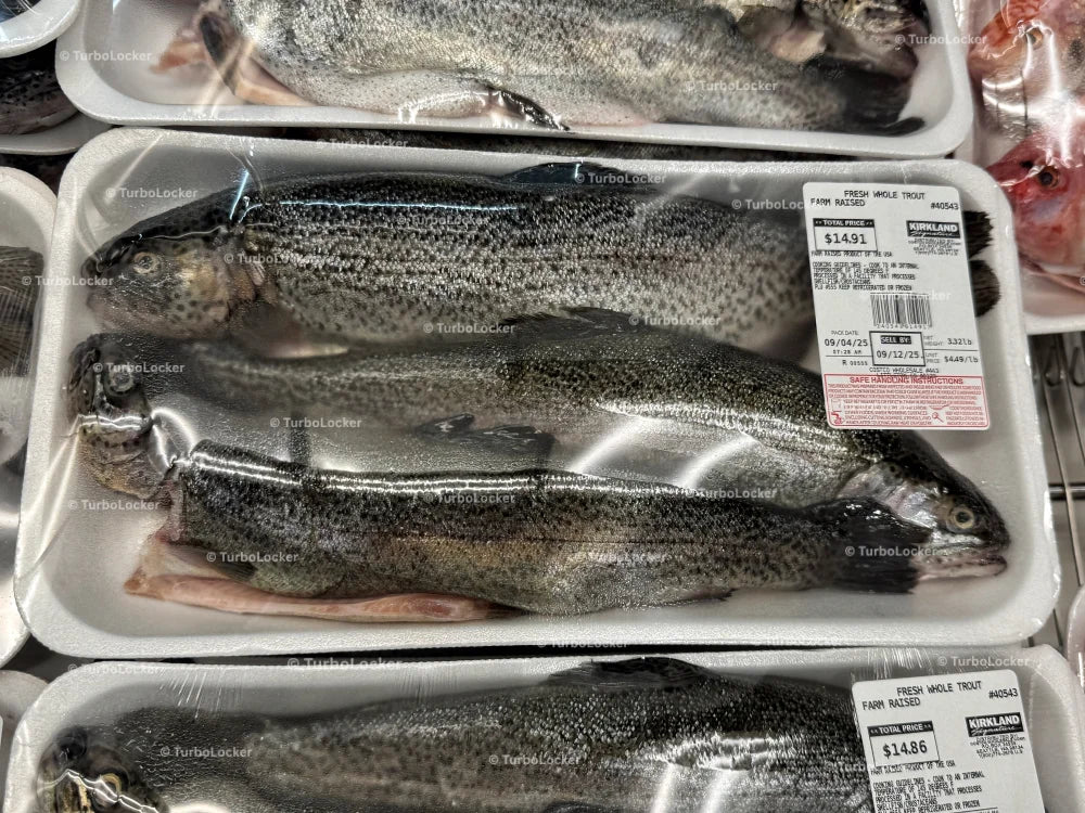 Farm Raised Fresh Whole Trout On Display