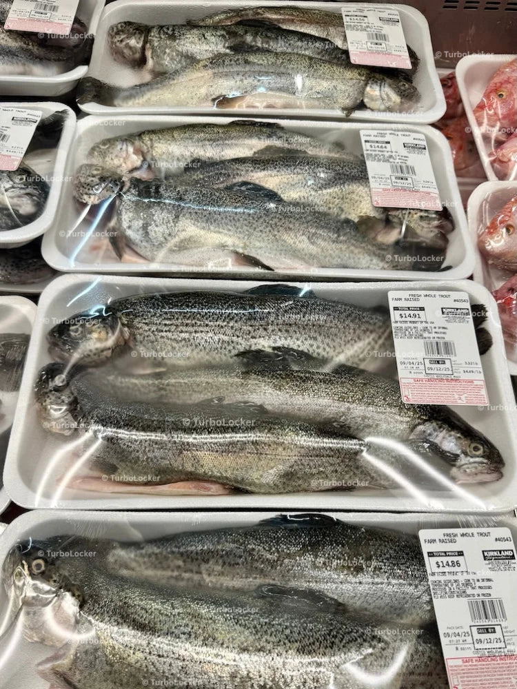 Farm Raised Whole Trout