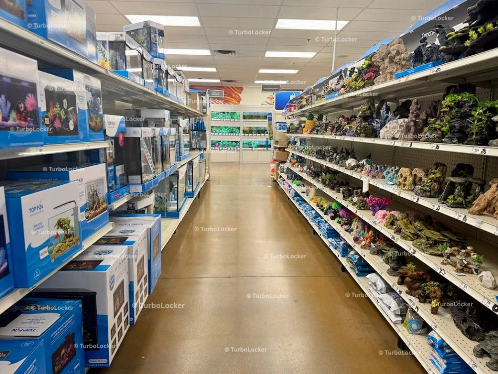 Fish Accessories Aisle