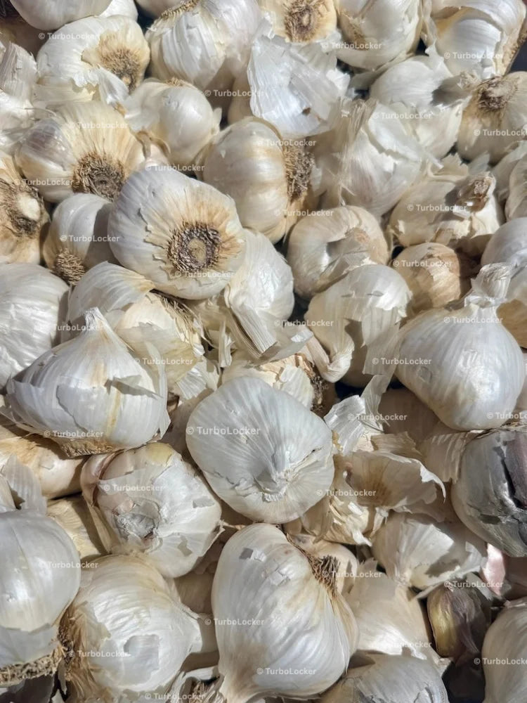 Garlic Cloves In A Bin