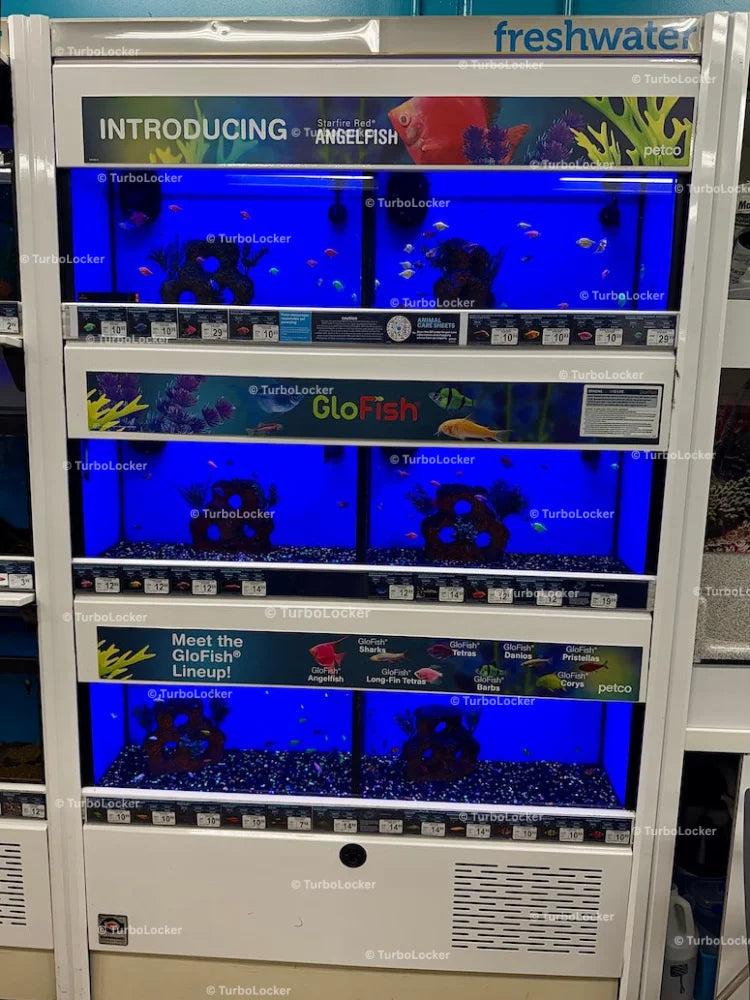 GloFish Display Tank At Petco