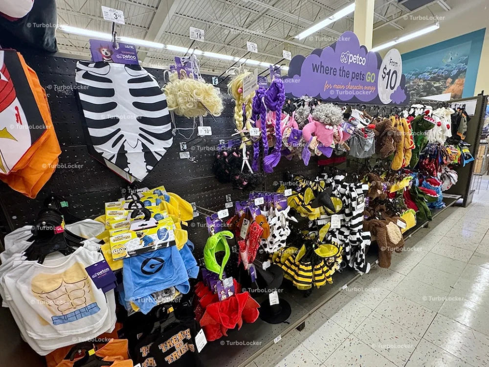 Halloween Outfits For Dogs