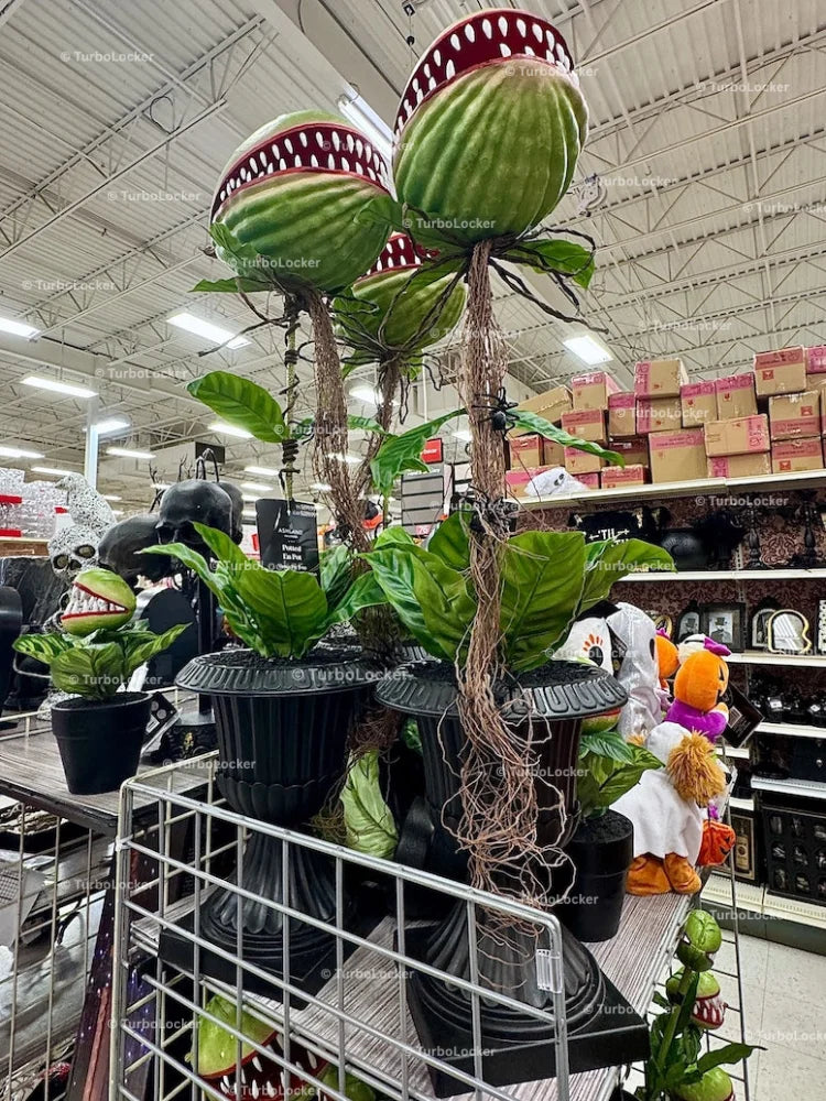 Halloween Venus Flytrap Decorations