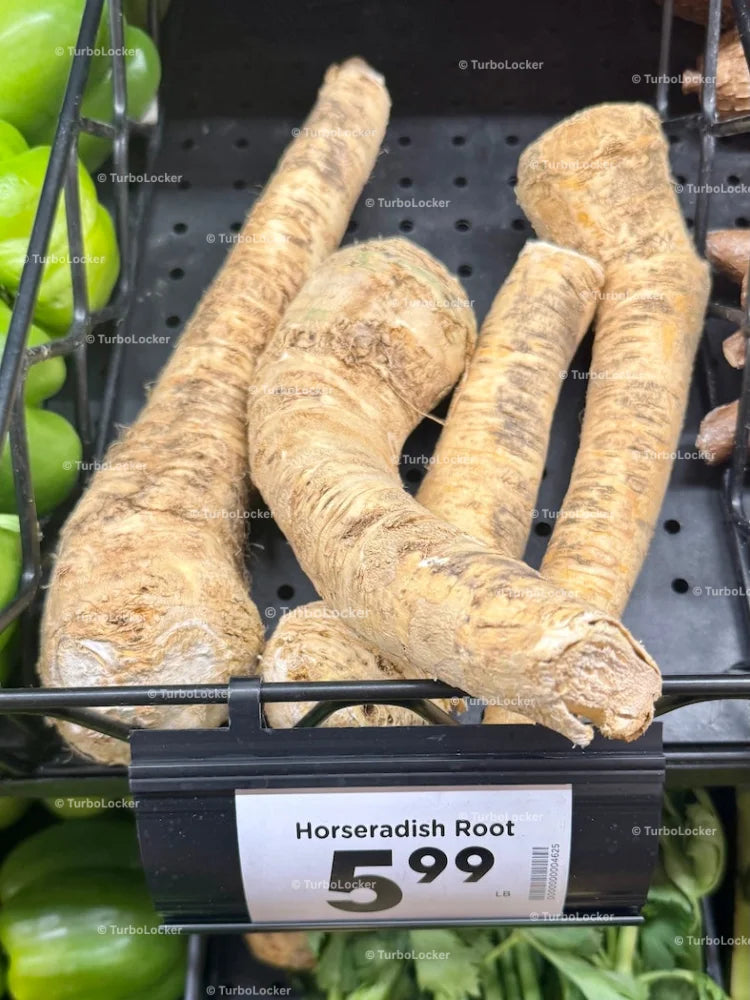 Horseradish Root