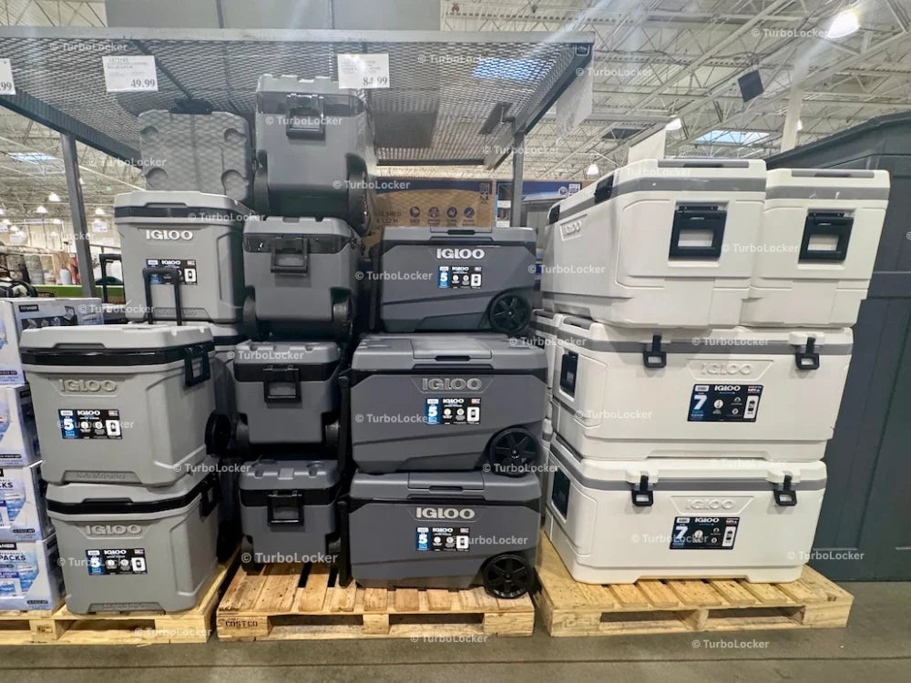 IGLOO Coolers