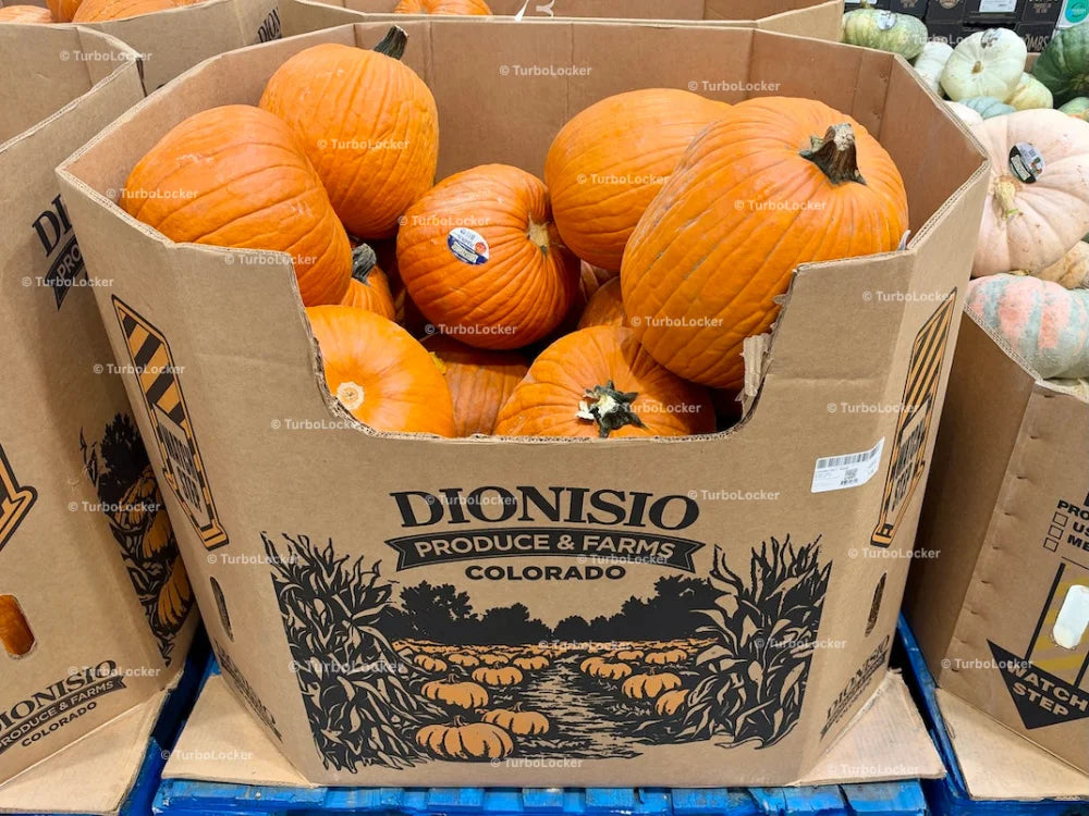 Jack-O-Lantern Pumpkins On A Pallet
