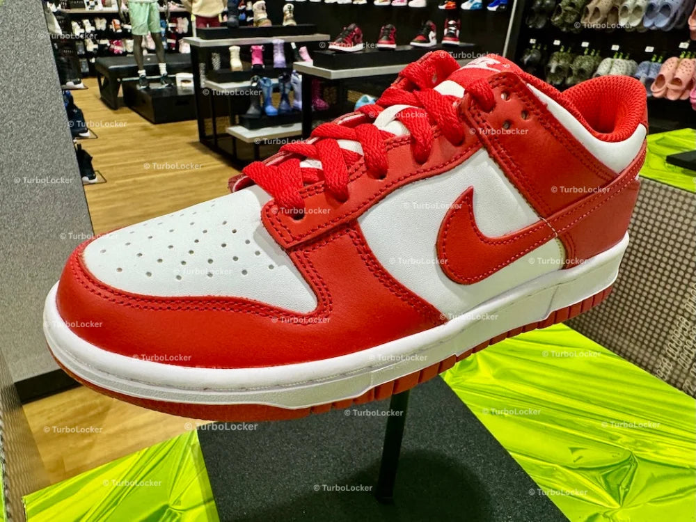 Nike Dunk Low Sneaker