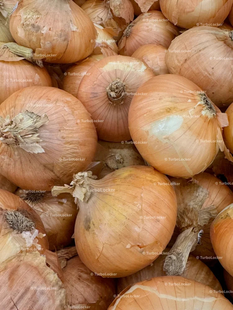 Onions In A Bin At A Grocery Store