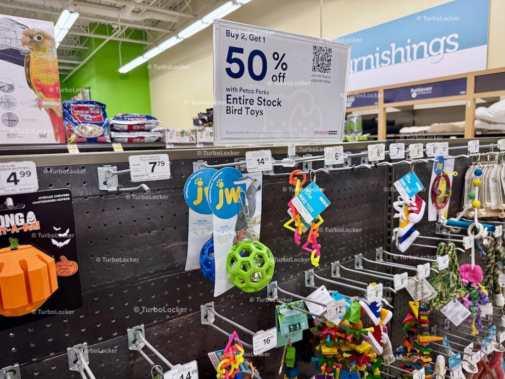 Pet Bird Toys On Discount