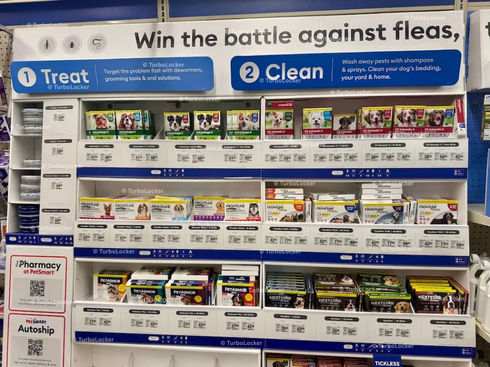Pet Flea Display