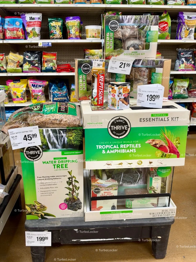 Tropical Reptiles And Amphibians Essentials Kit