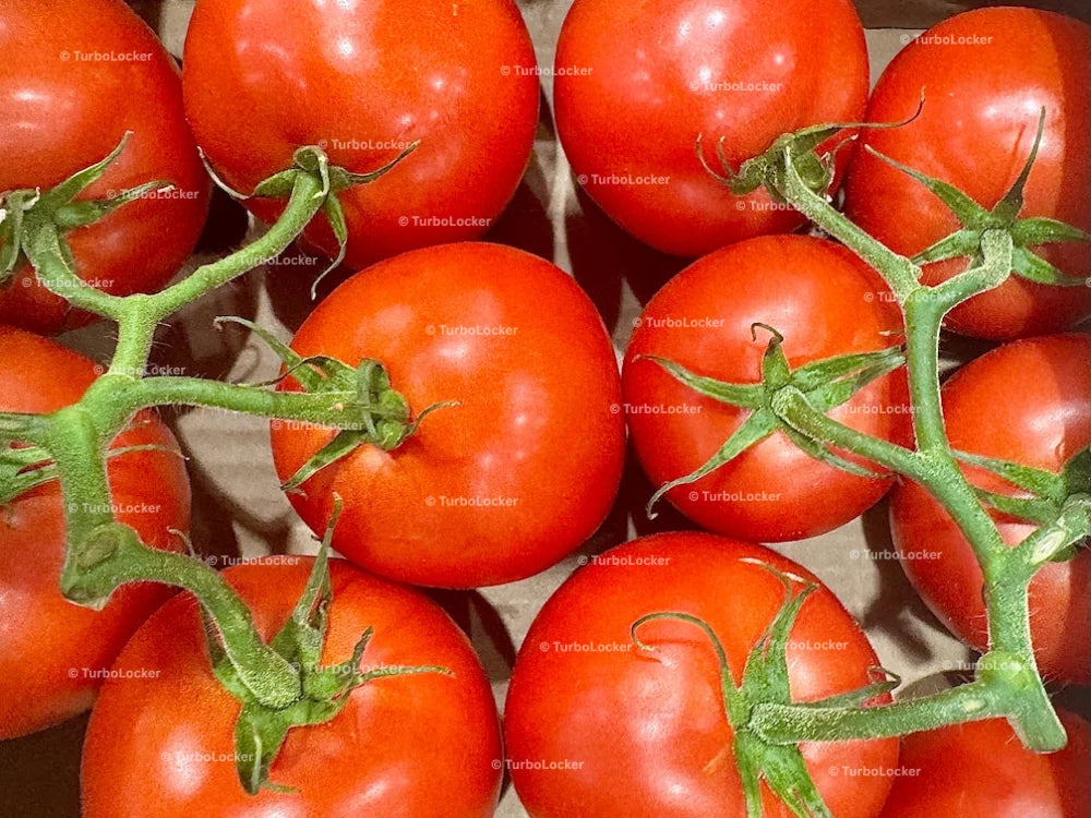 Vine Ripened Tomatoes