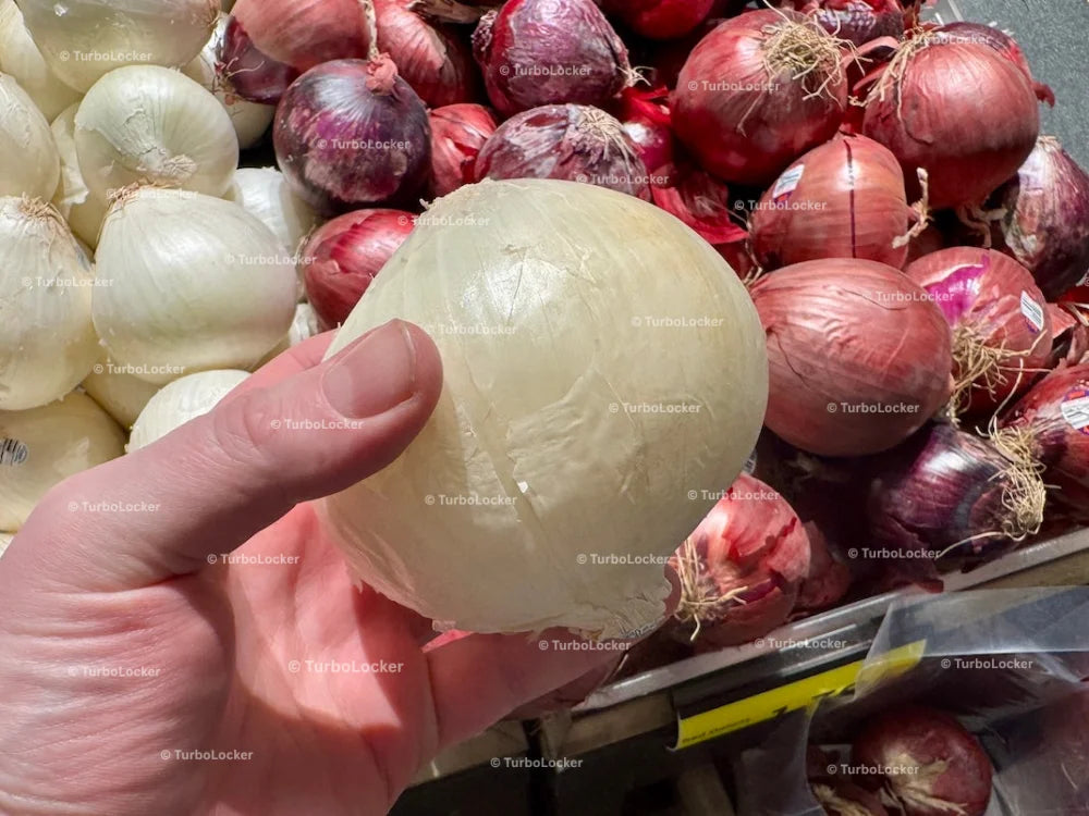 Whole White Onion