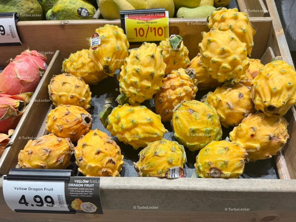 Yellow Dragon Fruit